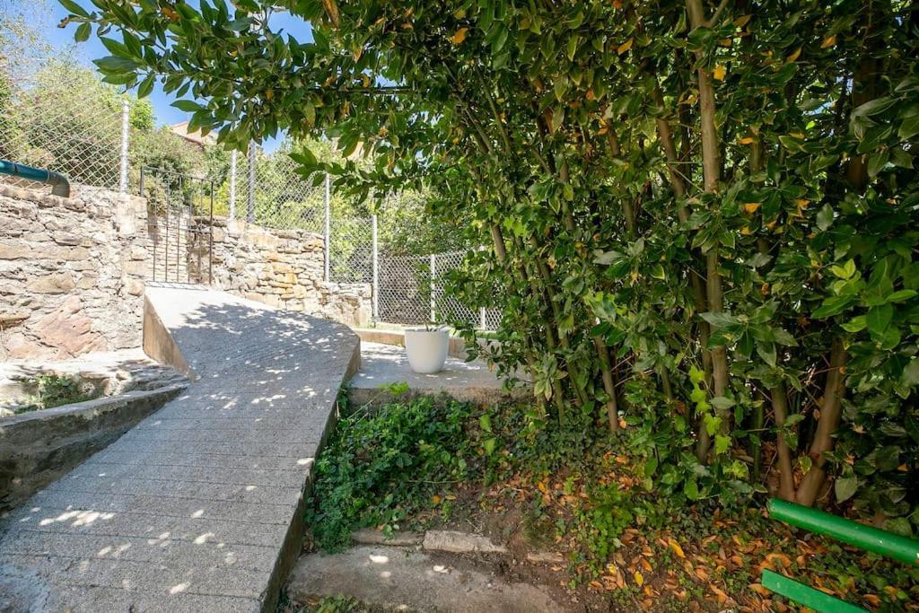 Casa Feli - Apartamento Con Jardin Privado En Los Pirineos Castiello de Jaca Eksteriør billede